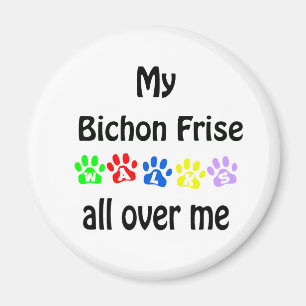 Bichon Frise Walks Design Magnet