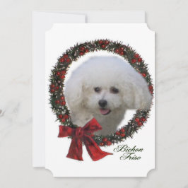 Bichon Frise Weihnachten