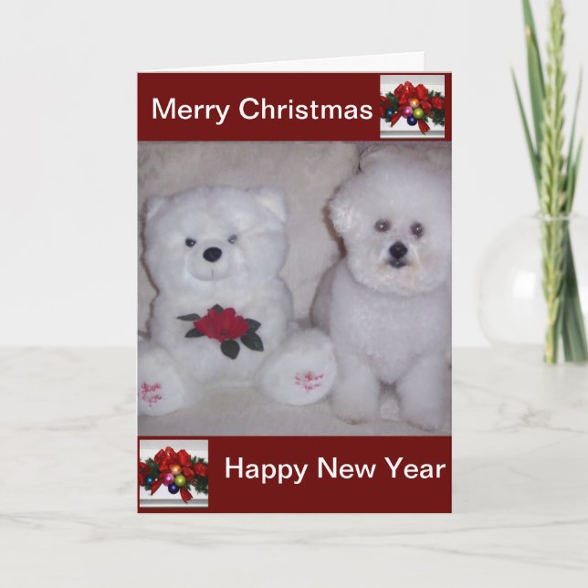 Bichon frise Weihnachtskarte Feiertagskarte (Vorderseite)