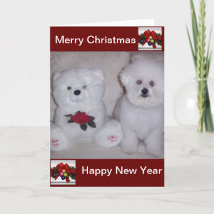 Bichon frise Weihnachtskarte Feiertagskarte