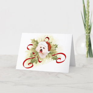 Bichon Frise Weihnachtskarten Feiertagskarte