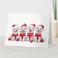 Bichon Frise Weihnachtskleid Santa Hut