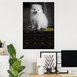 Bichon Frise Welpe 2026 Kalender Poster