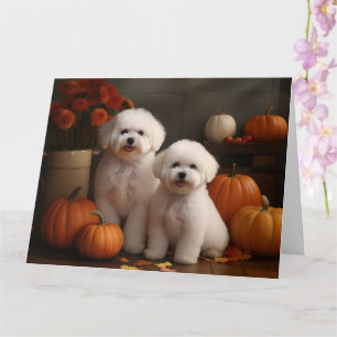 Bichon Frise Welpe Herbstfreude Kürbis  Karte