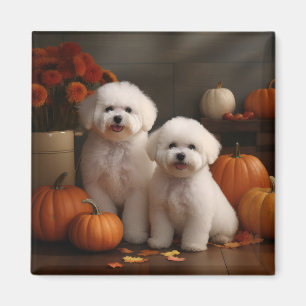 Bichon Frise Welpe Herbstfreude Kürbis Magnet