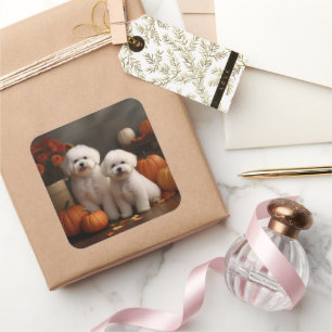 Bichon Frise Welpe Herbstfreude Kürbis Quadratischer Aufkleber