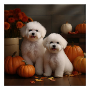 Bichon Frise Welppy Autumn Delight Pumpkin Poster