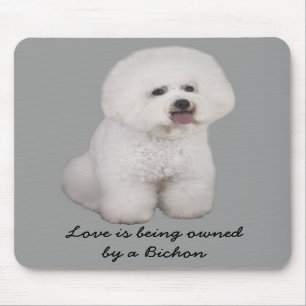 Bichon Frise wertvolles Mousepad