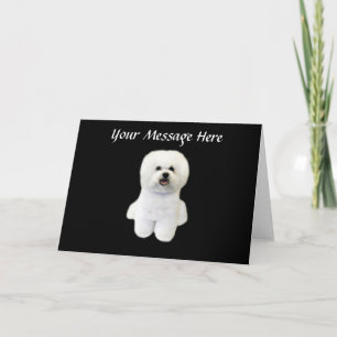 Bichon Greeting Card Feiertagskarte