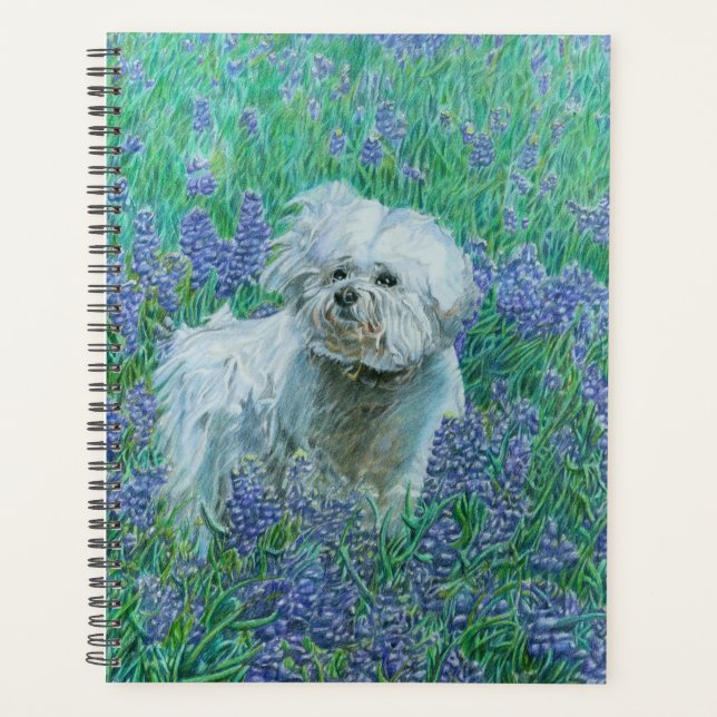 Bichon in Bluebonnets Grußkarte Planer (Vorderseite)