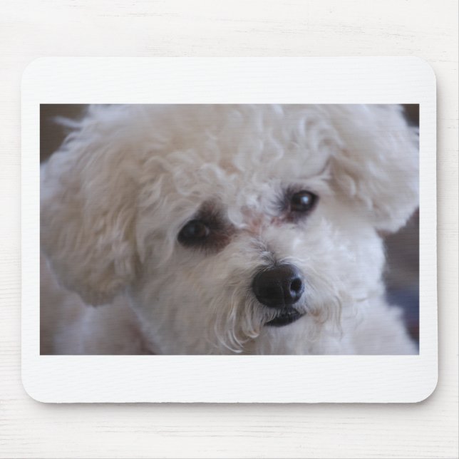 Bichon nahes hohes mousepad (Vorne)