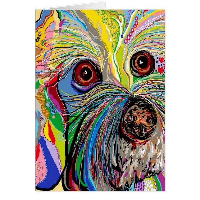 Bichon… Schuh-Mann (Vorne)