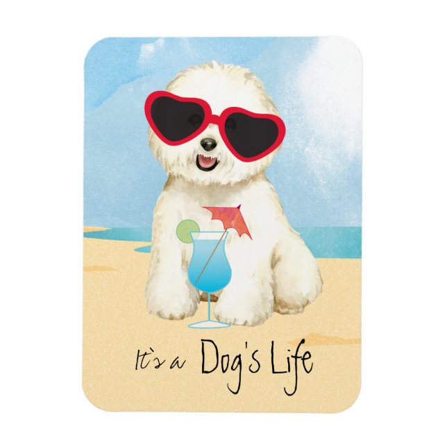 Bichon-Sommerbrand Magnet (Vertikal)