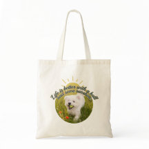 Bichon und Ball Dandelion-Tage