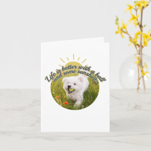 Bichon und Ball Löwenzahntage Karte