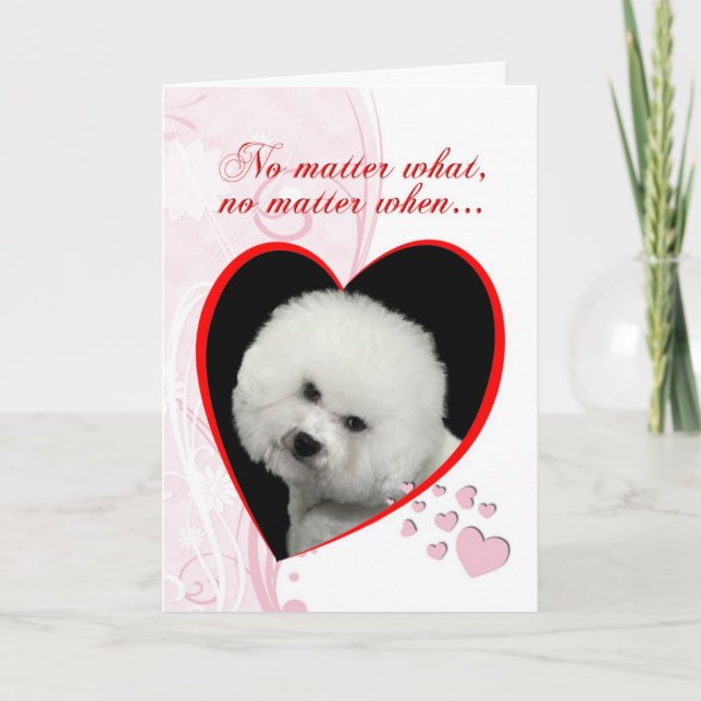 Bichon Valentinenkarte Feiertagskarte (Vorderseite)