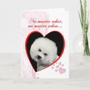 Bichon Valentinenkarte Feiertagskarte