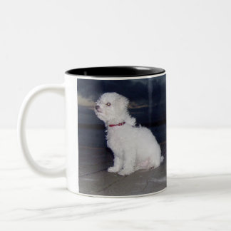 Bichons an der Dämmerung Zweifarbige Tasse