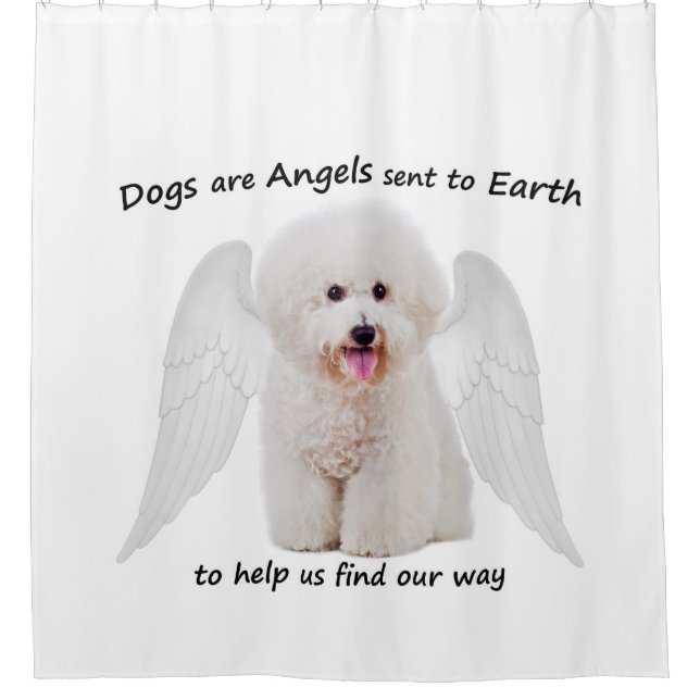 Bichons sind Angels Duschvorhang (Vorderseite)