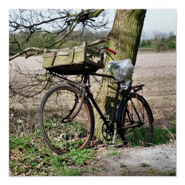 BICYCLES POSTER (Vorderseite)