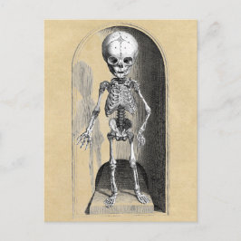 Bidloo Medical Illustration (Anterior) Postkarte