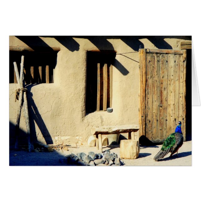 Biegungs-alter Fort-Pfau (Vorderseite (Horizontal))