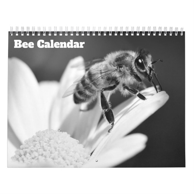 Biene 2026 kalender (Titelbild)