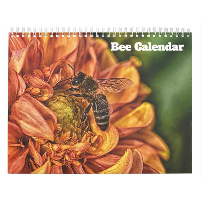 Biene 2027 kalender (Titelbild)