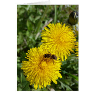 Biene am Arbeitsplatz