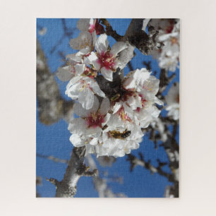 Biene auf Almond Blossom 520 Count Hard Puzzle