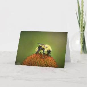 Biene auf Blume, Karte