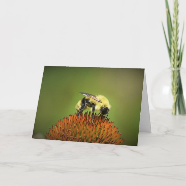 Biene auf Blume, Karte (Vorderseite)