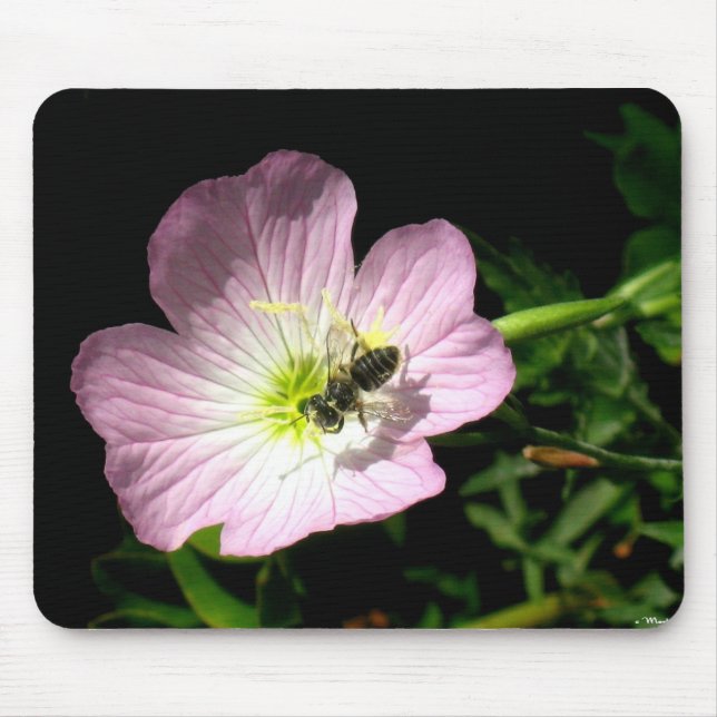 Biene auf Blume Mousepad (Vorne)