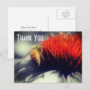 Biene Auf Blüte Teilfarbe Danke Postkarte