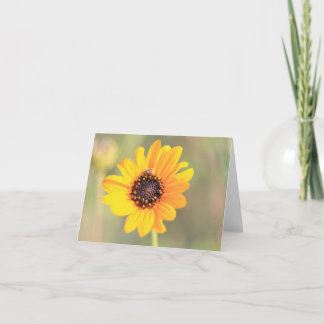 Biene auf Coreopsis Visitenkarte Dankeskarte