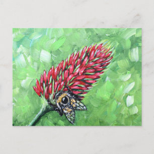 Biene auf Crimson Clover Painting Postkarte
