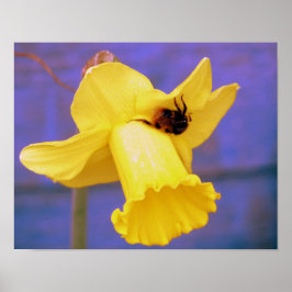 Biene auf Daffodil Poster