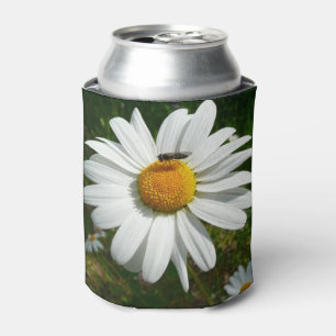 Biene auf Daisy Alaskan Summer Nature Foto Dosenkühler