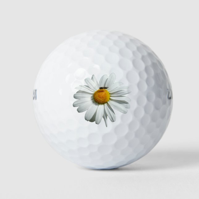 Biene auf Daisy Alaskan Summer Nature Foto Golfball (Vorderseite)