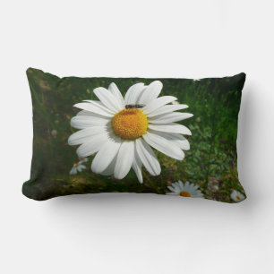 Biene auf Daisy Alaskan Summer Nature Foto Lendenkissen