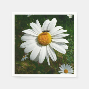 Biene auf Daisy Alaskan Summer Nature Foto Serviette