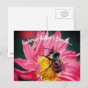 Biene auf Daisy Embrace Natur Inspiration  Postkarte