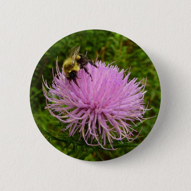 Biene auf der Blume Thistle Nature Button (Vorderseite)