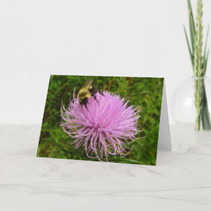 Biene auf der Blume Thistle Nature Karte