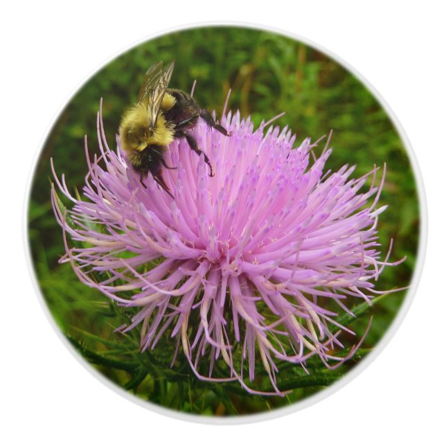 Biene auf der Blume Thistle Nature Keramikknauf (Vorderseite)