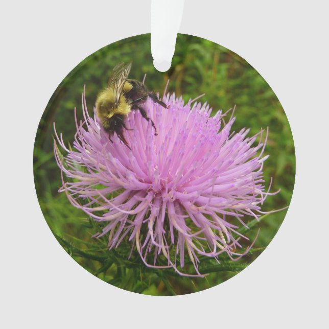 Biene auf der Blume Thistle Nature Ornament (Vorderseite)