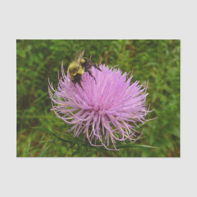 Biene auf der Blume Thistle Nature Seidenpapier (Vorderseite)