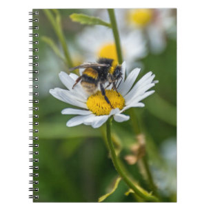 Biene auf einem Notizbuch des weißen Notizblock