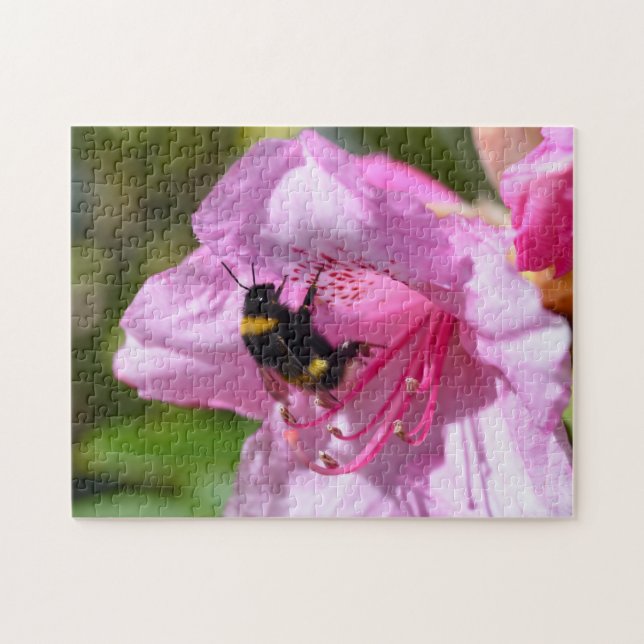 Biene auf einem rosa Rhododendron Jigsaw Puzzle (Horizontal)