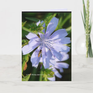 Biene auf einem Wildschwein Karte